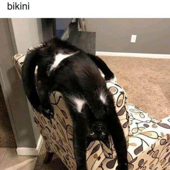 Meet your Posher, Lance   And I will do trades. - Picture 9 of 15